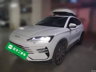 2025 BYD Song PLUS PHEV DM-i 112KM Premium, фото 1, лот 11182488