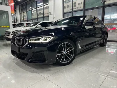 2021 BMW 5 Series 525Li M Sport Package, фото 1, лот 11018087