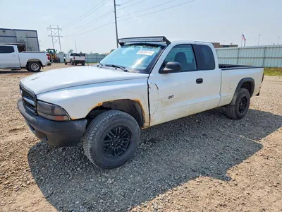 2002 DODGE DAKOTA BASE, фото 1, лот 10973114