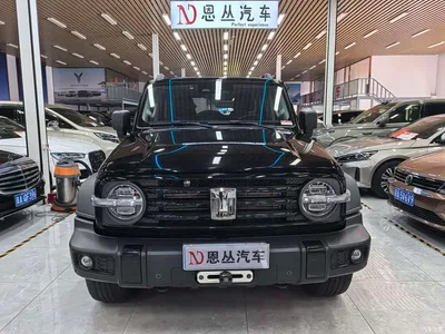 2021 Tank 300 Off-road Version 2.0T Conqueror, фото 2, лот 10344835