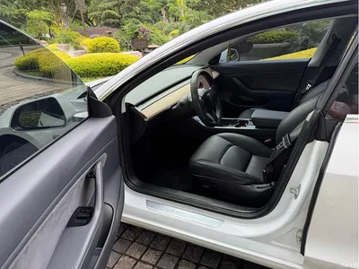 2019 Tesla Model 3 (Import) Long Range All-Wheel Drive Edition, фото 4, лот 10454121