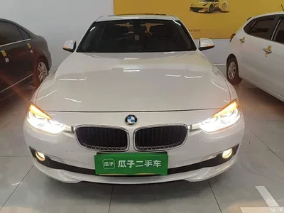 2016 BMW 3 Series 320Li Progressive, фото 3, лот 11448379