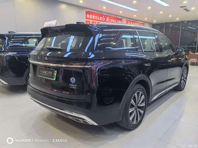 2025 Hongqi HS7 PHEV 2.0T PHEV 4WD 2 Million Units Anniversary Edition (7-seater), фото 4, лот 11255666