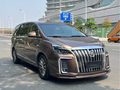 2021 Buick GL8 Land Business Class 652T Luxury, фото 3, лот 10255739