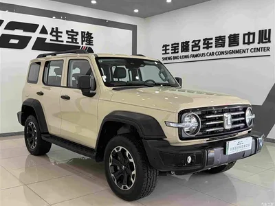 2025 Tank 300 New Energy Hi4-T, фото 3, лот 10344620