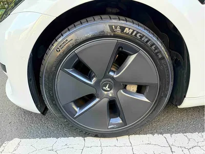2022 Tesla Model 3 Model Rear-Wheel Drive Version, фото 4, лот 10357113