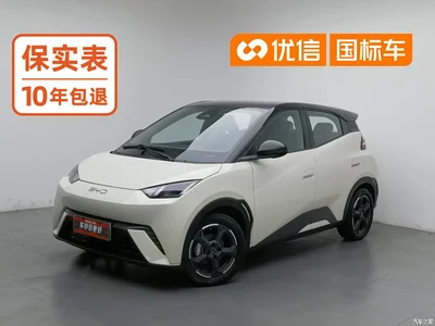 2023 BYD Seagull Flying Edition, фото 1, лот 10956772