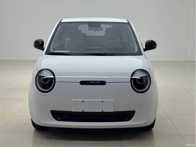 2023 Changan Qiyuan Changan Lumin Model 205km Fragrant Edition, фото 2, лот 11527890