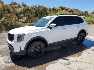 2024 KIA TELLURIDE SX-PRESTIGE X-LINE, фото 1, лот 10701366