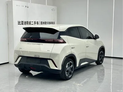 2024 BYD Seagull Glory Edition 305km Freedom Edition, фото 4, лот 10626271