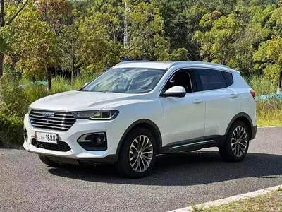 2018 Haval H6 Blue Label 2.0T Auto Luxury, фото 3, лот 10306201