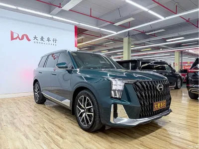 2022 GAC Trumpchi Trumpchi GS8 Dual Engine Series 2.0TM 2WD Premium Edition (7-Seater), фото 3, лот 10414029