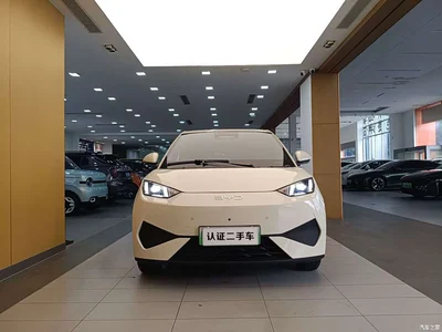 2025 BYD Seagull Smart Driving Edition 405km Flying Edition, фото 3, лот 10245282