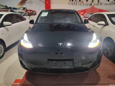 2024 Tesla Model Y Rear-Wheel Drive Version, фото 3, лот 11140348