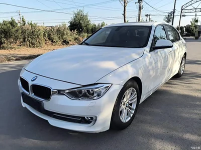 2015 BMW 3 Series 320Li Super Joy Fashion, фото 1, лот 11570731