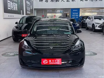 2022 Tesla Model 3 Model Rear-Wheel Drive Version, фото 2, лот 10352078