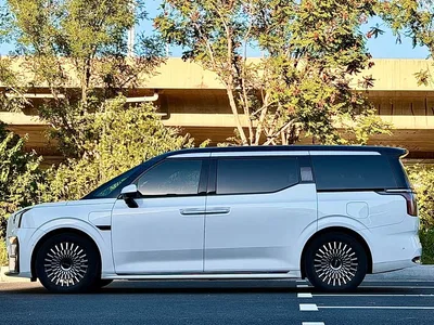 2024 ZEEKR 009 6-seat Executive AWD 108kWh, фото 3, лот 10291295
