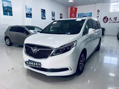 2017 Buick GL8 ES 28T Luxury China V, фото 3, лот 10816182