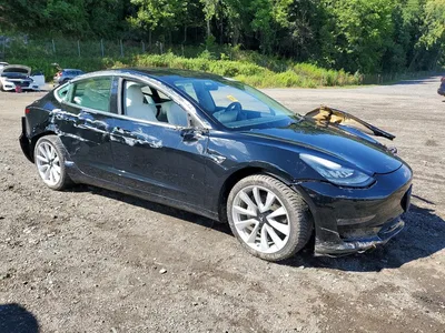 2019 TESLA MODEL 3, фото 4, лот 10856411