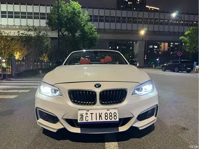 2019 BMW 2 Series (Import) 225i Convertible Coupe Exclusive M Sport Package, фото 1, лот 11140813