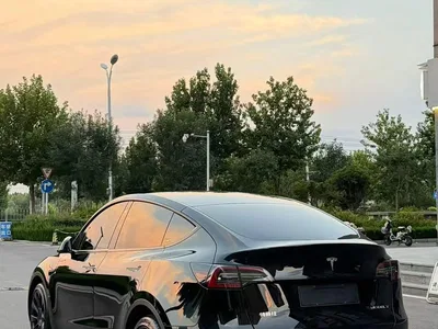 2022 Tesla Model Y Rear-Wheel Drive Version, фото 2, лот 10455205
