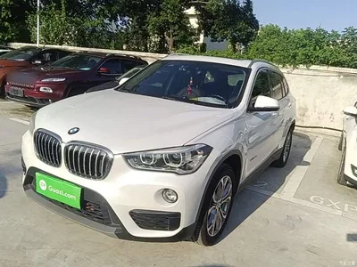 2018 BMW X1 sDrive20Li Leading Model, фото 2, лот 10467274