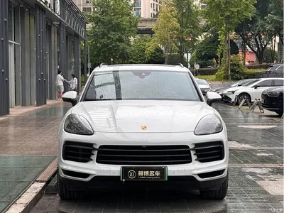 2023 Porsche Cayenne New Energy Cayenne E-Hybrid 2.0T Platinum Edition, фото 2, лот 10635516