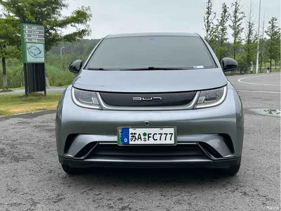 2023 BYD Dolphin 420km Freedom Edition, фото 2, лот 10256862