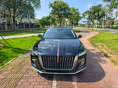2023 Hongqi H5 1.5T DCT Smart Connect Flag Rhythm, фото 2, лот 10288490