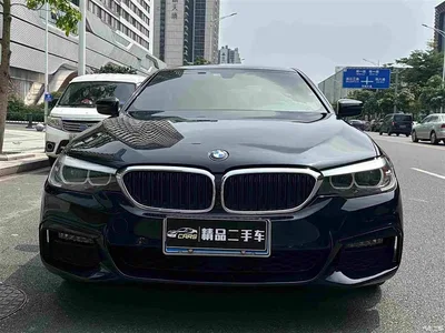 2019 BMW 5 Series 530Li xDrive M Sport Package, фото 2, лот 11006629