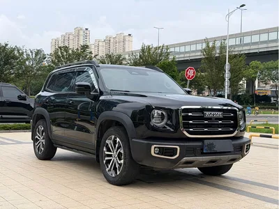 2022 Haval Big Dog 1.5T DCT FWD Border Collie Edition, фото 1, лот 10361670