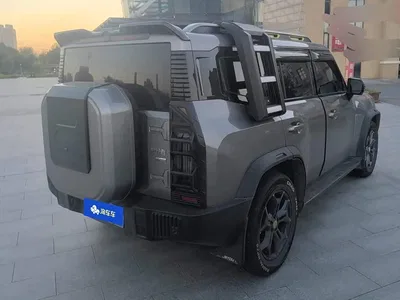 2023 Jetour Traveler Model 2.0T 4WD Cross PRO, фото 3, лот 10396413