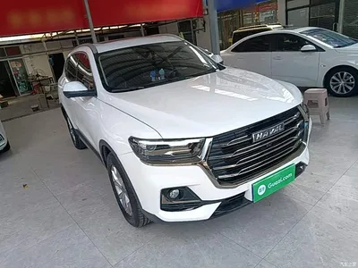 2021 Haval H6 National Trend Edition 1.5GDIT Automatic Champion Edition, фото 4, лот 10302498