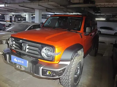 2025 Tank 300 New Energy Hi4-T, фото 1, лот 10894830