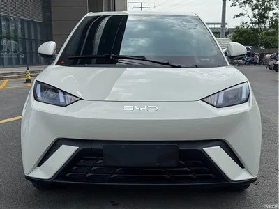 2024 BYD Seagull Glory Edition 305km Vitality Edition, фото 2, лот 10254541