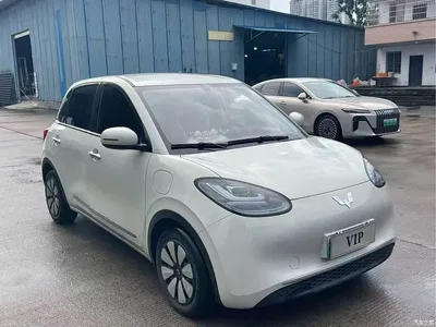 2025 Wuling Motors Wuling Bingo Model 333km Joy Edition, фото 3, лот 10367117