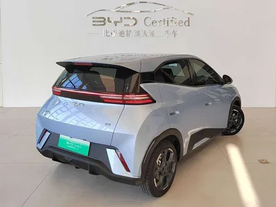 2025 Byd Seagull, фото 4, лот 10248029