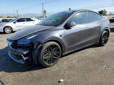 2024 TESLA MODEL Y, фото 1, лот 10856454