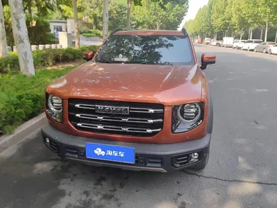 2021 Haval Big Dog 1.5T DCT 2WD Malinois Edition, фото 2, лот 10838526