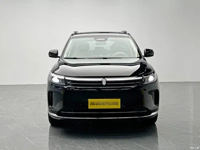 2024 AITO Wenjie AITO M7 1.5T Smart Drive RWD Pro 5-seater, фото 2, лот 10278432