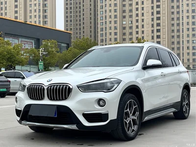 2019 BMW X1 sDrive18Li Premium Model, фото 1, лот 10432549