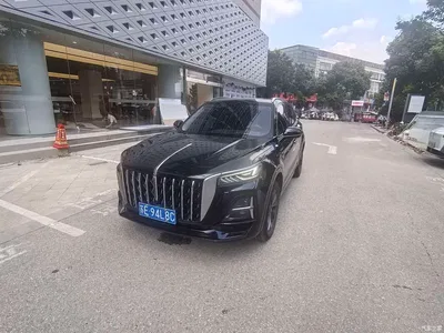 2023 Hongqi HS5 2.0T Flag Enjoy Pro Edition, фото 1, лот 10287945
