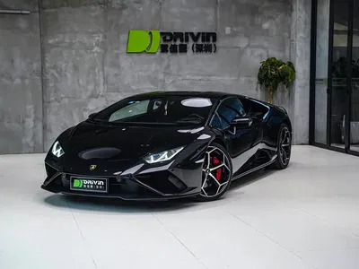 2020 Lamborghini Huracán EVO RWD, фото 1, лот 10309208