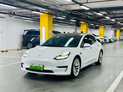2021 Tesla Model 3 Facelift Standard Range RWD Upgrade 3D1, фото 1, лот 11066975