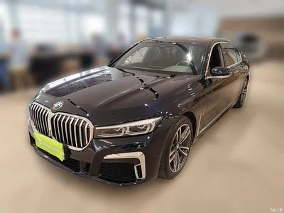 2019 BMW 7 Series Facelift 730Li M Sport Package, фото 1, лот 10459570