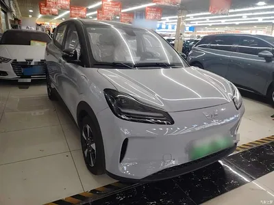 2024 Wuling Motors Wuling Binguo PLUS 510km Range 5-seater, фото 4, лот 10836022