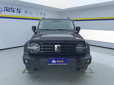 2021 Tank 300 Off-road Version 2.0T Conqueror, фото 2, лот 10645269