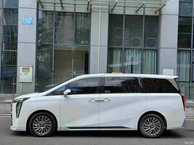 2023 GAC Trumpchi Trumpchi M8 Model Master Series 400T Flagship Edition, фото 2, лот 11205556
