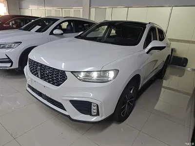2020 WEY VV5 1.5T 2WD Smart Pioneer, фото 1, лот 10452351