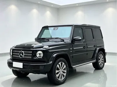 2019 Mercedes-Benz G-Class Facelift G 500, фото 1, лот 10391124